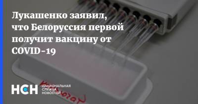 Владимир Путин - Александр Лукашенко - Лукашенко заявил, что Белоруссия первой получит вакцину от COVID-19 - nsn.fm - Россия - Белоруссия