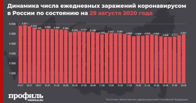 В России выявлено почти 5 тыс. новых случаев коронавирусной инфекции - profile.ru - Россия
