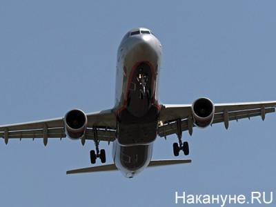 Из-за коронавируса дешевые авиабилеты могут исчезнуть - nakanune.ru