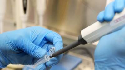 Россия поставит препарат от коронавируса в ЮАР и Латинскую Америку - russian.rt.com - Россия - Юар