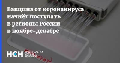 Михаил Мурашко - Вакцина от коронавируса начнёт поступать в регионы России в ноябре-декабре - nsn.fm - Россия
