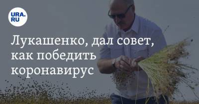 Александр Лукашенко - Лукашенко, дал совет, как победить коронавирус - ura.news - Белоруссия