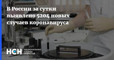 В России за сутки выявлено 5204 новых случаев коронавируса - nsn.fm - Россия