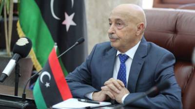 Агила Салех - Саад Акуб - Агила Салех поддержал меры Востока Ливии против распространения COVID-19 - riafan.ru - Ливия