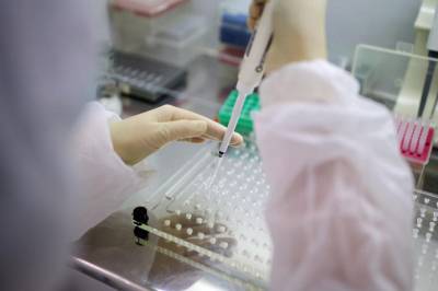 Более 29,7 миллиона тестов на коронавирус провели в России - vm.ru - Россия - Москва