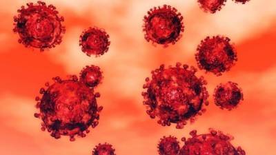 Выявлен неочевидный фактор летального исхода при коронавирусе - 5-tv.ru - Сша - Нью-Йорк