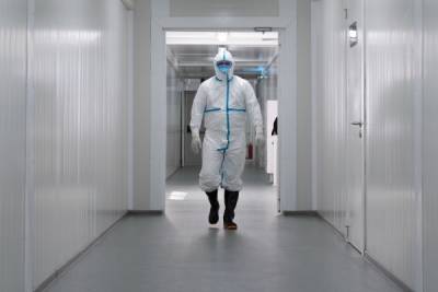 В России провели почти 30 миллионов тестов на коронавирус - govoritmoskva.ru - Россия