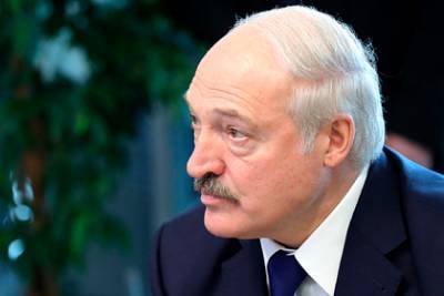 Александр Лукашенко - Дмитрий Гордон - Лукашенко заявил о подкинутом ему коронавирусе - lenta.ru - Украина - Белоруссия