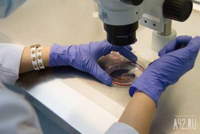Учёные нашли слабое место нового коронавируса - gazeta.a42.ru - штат Канзас