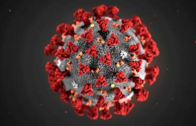 Число инфицированных коронавирусом в Африке превысило 1 млн - interfax.ru - Москва - Юар