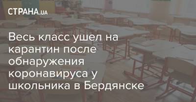 Весь класс ушел на карантин после обнаружения коронавируса у школьника в Бердянске - strana.ua - Украина - Бердянск