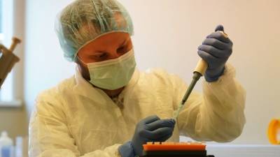 Началась третья фаза клинических испытаний вакцины против коронавируса - 5-tv.ru - Россия - Мексика