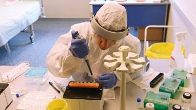 Анатолий Альтштейн - Более 39,5 млн тестов на коронавирус проведено в России - russian.rt.com - Россия