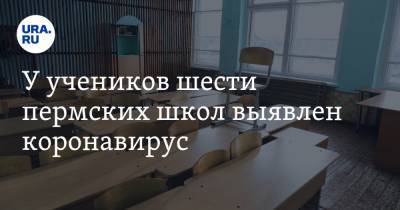 У учеников шести пермских школ выявлен коронавирус - ura.news - Пермь - Пермский край - Соликамск