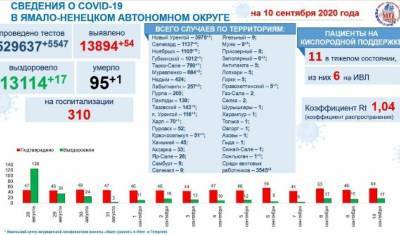 За последние сутки 54 жителя ЯНАО заболели коронавирусом - nashgorod.ru - округ Янао - Ноябрьск - Тазовский
