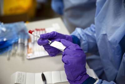 Эммануэль Макрон - Число заболевших коронавирусом в мире превысило 28 миллионов - tvc.ru - Франция - Индия - Бразилия