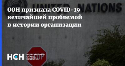 ООН признала COVID-19 величайшей проблемой в истории организации - nsn.fm - Украина - Сша - Израиль - Венгрия