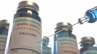 Первую партию вакцины от COVID-19 направили в регионы РФ - riafan.ru - Россия - Москва