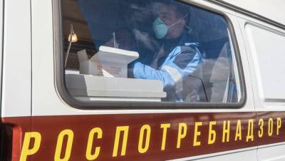 Почти 24 тыс. петербуржцев проверили на коронавирус за сутки - dp.ru - Россия - Санкт-Петербург
