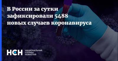 В России за сутки зафиксировали 5488 новых случаев коронавируса - nsn.fm - Россия