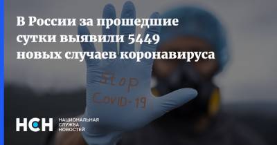 В России за прошедшие сутки выявили 5449 новых случаев коронавируса - nsn.fm - Россия