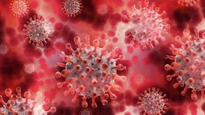 ВОЗ рапортует о рекордном росте коронавируса по всему виру - 5-tv.ru - Индия - Израиль