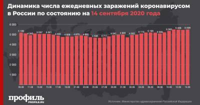В России за сутки выявлено 5509 пациентов с коронавирусом - profile.ru - Россия