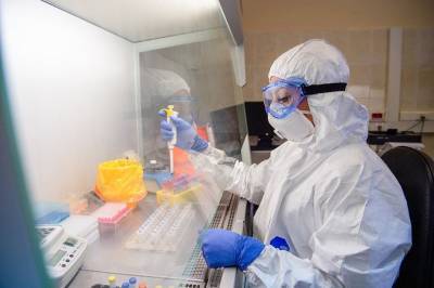 Обнаружены биомолекулы, способные подавлять коронавирусы - tvc.ru