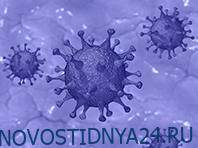 Ученые не исключили наличие фекально-орального пути передачи коронавируса - novostidnya24.ru - Китай - Гонконг