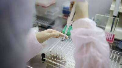 В России за сутки выявлено 5529 новых случаев коронавируса - russian.rt.com - Россия