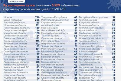 За сутки в России выявлено 5 529 случаев заражения коронавирусом - govoritmoskva.ru - Россия - Москва