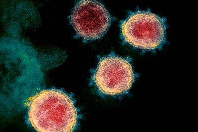 Предсказано будущее пандемии коронавируса - lenta.ru - Сша - Ливан - Бейрут - county Frontier