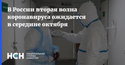Георгий Жуков - В России вторая волна коронавируса ожидается в середине октября - nsn.fm - Россия - Израиль