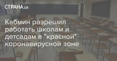 Кабмин разрешил работать школам и детсадам в "красной" коронавирусной зоне - strana.ua - Украина