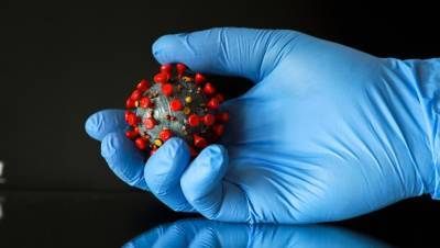Великолукская академия ушла на дистанционное обучение из-за COVID-19 - dp.ru