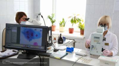 Петербургские медики провели почти 24 тыс. тестов на коронавирус за сутки - nation-news.ru - Санкт-Петербург