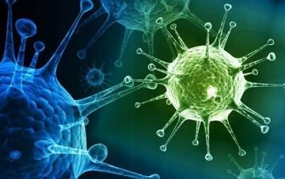 Врожденный иммунитет к COVID-19 может иметь до 50% людей - ученые - korrespondent.net - Англия