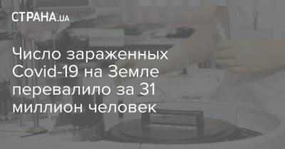 Число зараженных Covid-19 на Земле перевалило за 31 миллион человек - strana.ua - Украина