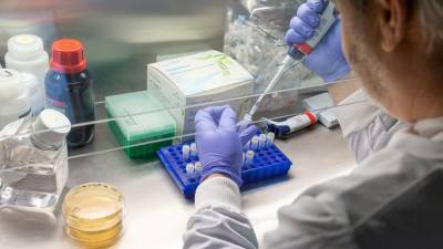 В Мурманской области рассказали о ситуации с лечением коронавируса в регионе - russian.rt.com - Мурманская обл.