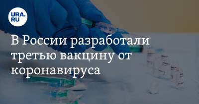В России разработали третью вакцину от коронавируса - ura.news - Россия