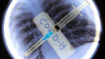 Названы сроки регистрации новой российской вакцины от COVID-19 - dp.ru - Россия