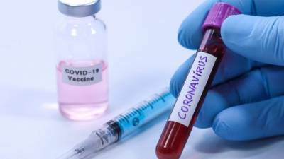 Вакцина от коронавируса центра «Вектор» будет зарегистрирована к 15 октября - 5-tv.ru