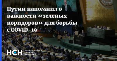 Владимир Путин - Путин напомнил о важности «зеленых коридоров» для борьбы с COVID-19 - nsn.fm - Россия