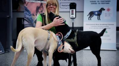 В главном аэропорту Финляндии пассажиров проверяют на наличие коронавируса с помощью собак - belta.by - Финляндия - Хельсинки