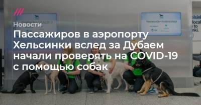 Пассажиров в аэропорту Хельсинки вслед за Дубаем начали проверять на COVID-19 с помощью собак - tvrain.ru - Хельсинки
