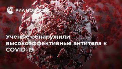 Ученые обнаружили высокоэффективные антитела к COVID-19 - ria.ru - Москва - Берлин