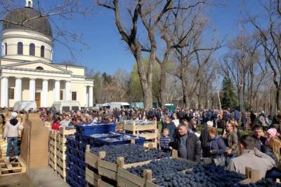 В Молдавии всплеск Covid-19, но массовые мероприятия разрешают - eadaily.com - Кишинев - Молдавия