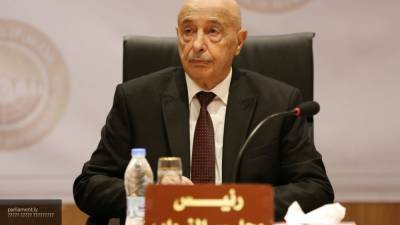 Агила Салех - Палата представителей Ливии проверит траты на борьбу с коронавирусом - nation-news.ru - Ливия