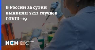 В России за сутки выявили 7212 случаев COVID-19 - nsn.fm - Россия