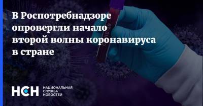 Александр Горелов - В Роспотребнадзоре опровергли начало второй волны коронавируса в стране - nsn.fm - Россия